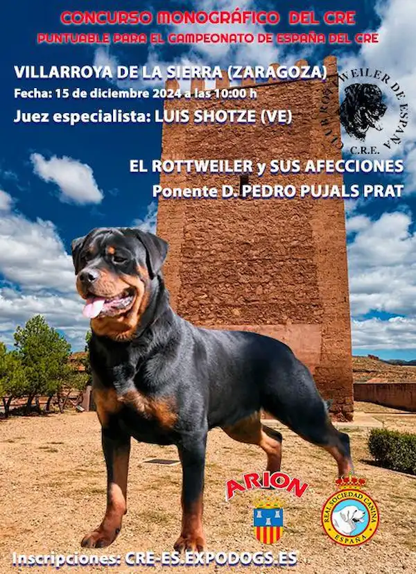 Monográfica Zaragoza 2024