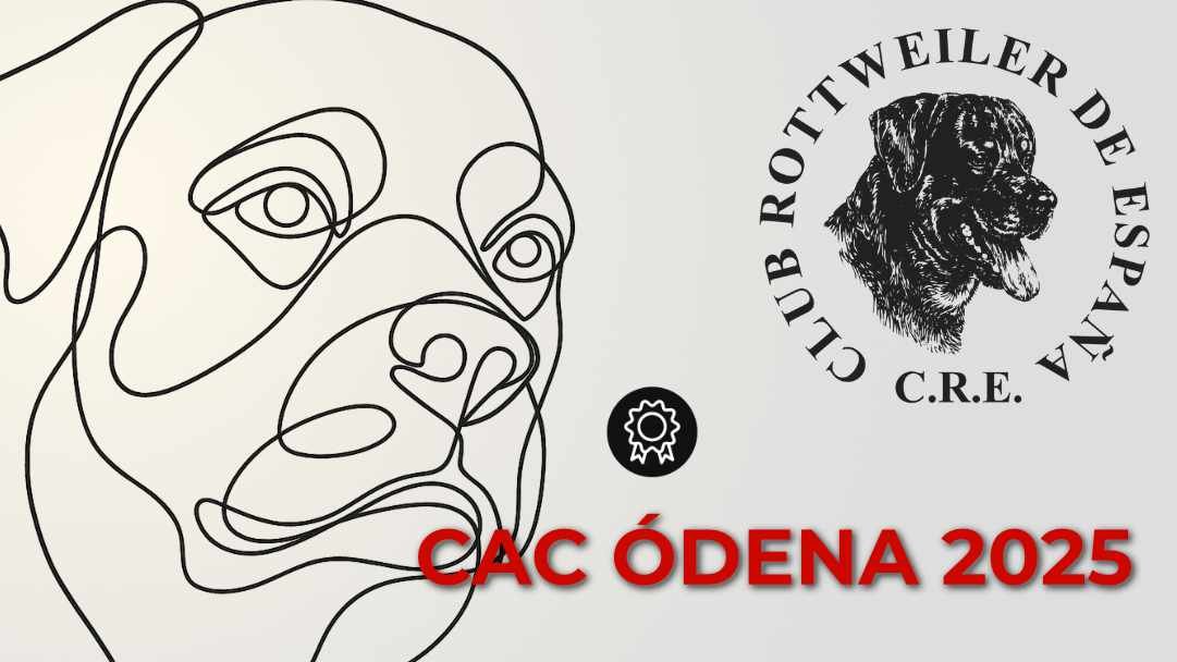 Exposición Monográfica Ódena 2025