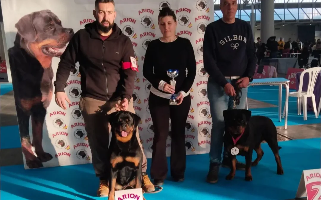 Fotos IX Concurso Castilla-León – CRE