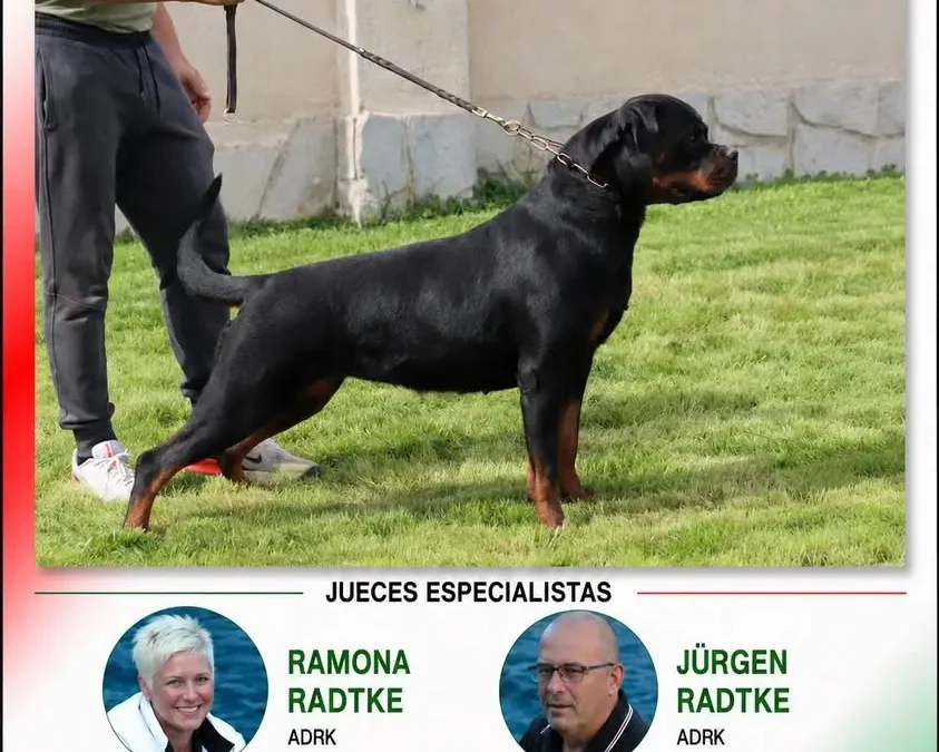 VI CONCURSO NACIONAL MONOGRÁFICO DE EUSKADI