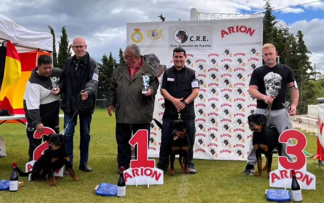 FOTOS CAMPEONATO NAVARRA 2026