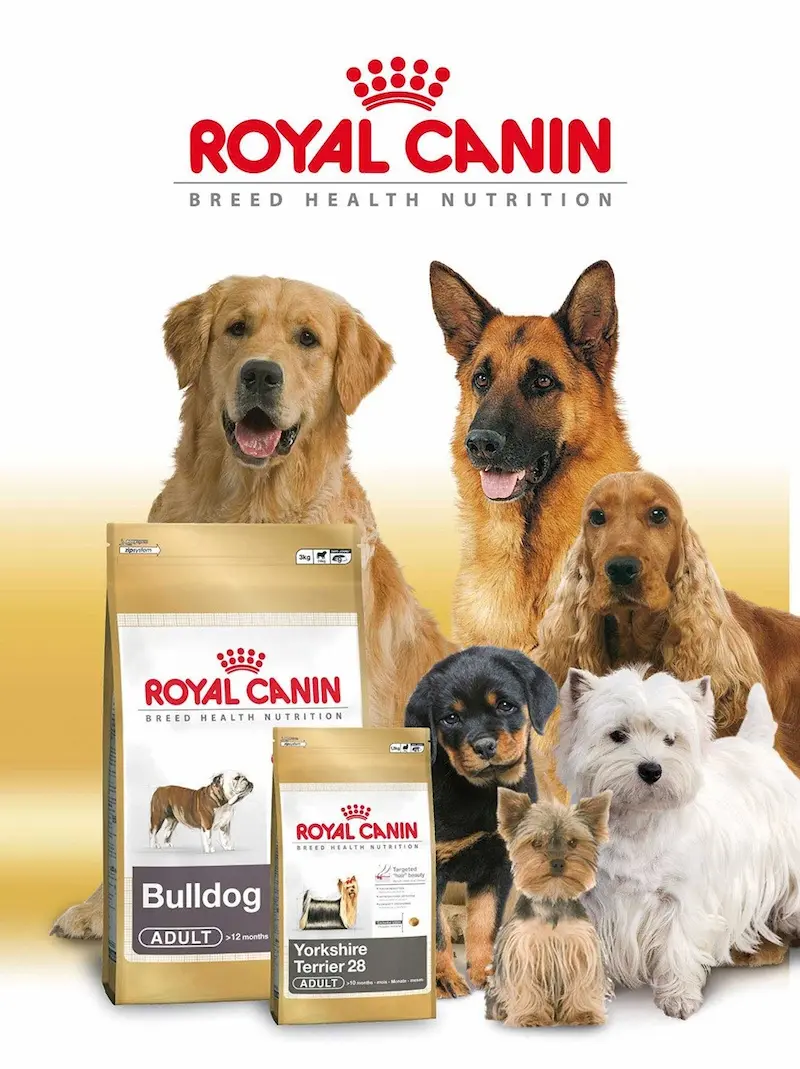 Cartel publicitario Royal Canin